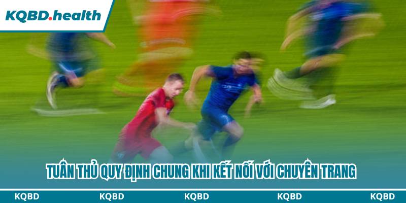 Tuân thủ quy định chung khi kết nối với chuyên trang 